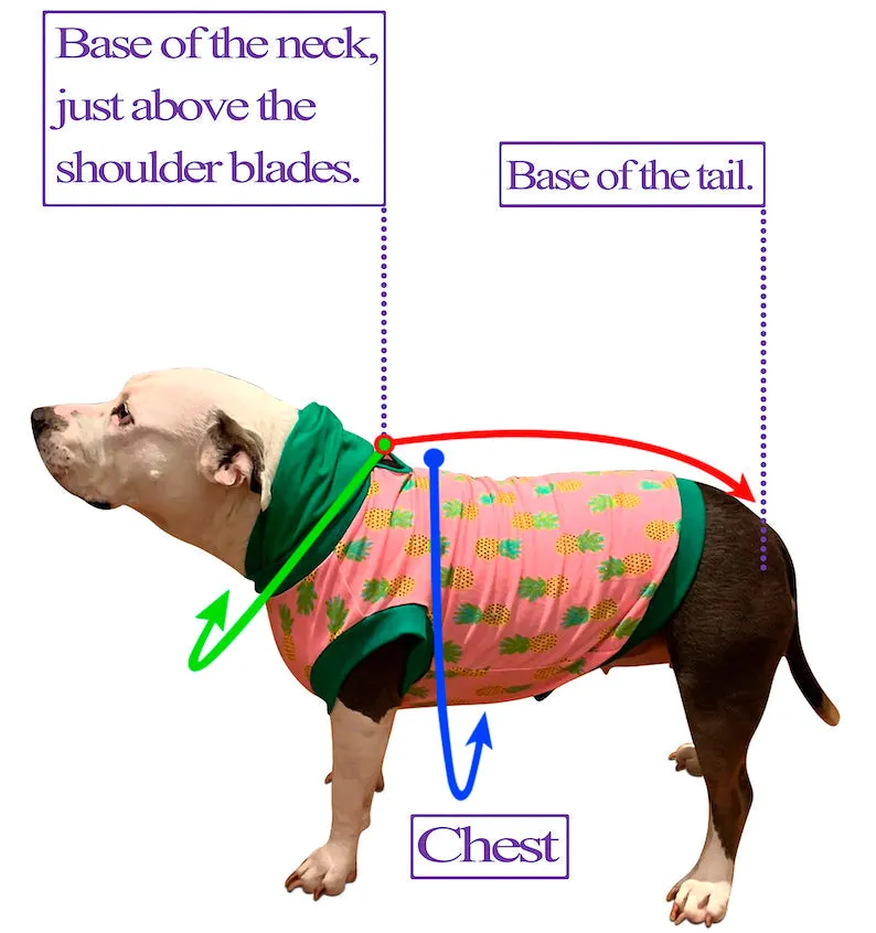 Welcome To The BarkSide - PAWJama with Yellow Trim & Neck
